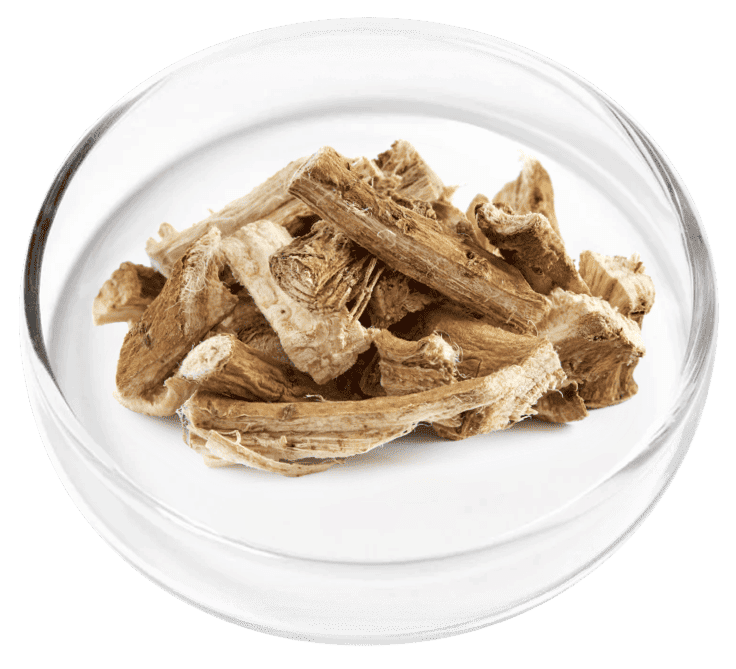 Marshmallow Root — Nervovive Ingredient